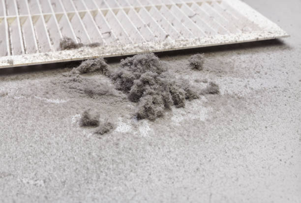 Best Local Air Duct Cleaning Services  in Bear Creek, FL