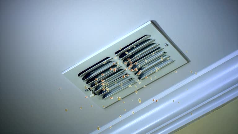 Best Air Duct Mold Removal  in Bear Creek, FL