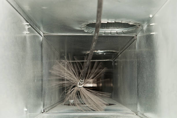 Best Air Duct Mold Removal  in Bear Creek, FL